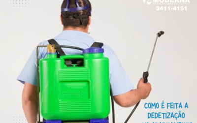 Como é feita a Dedetização no apartamento