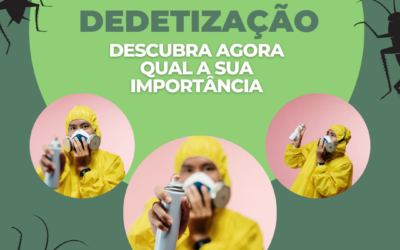 Dedetização: descubra agora qual a sua importância