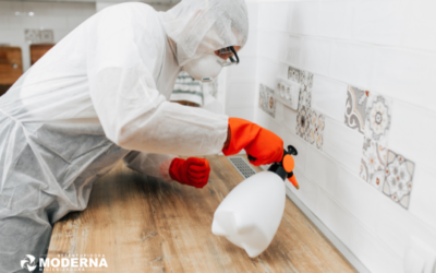 DESINSETIZAÇÃO, DEDETIZAÇÃO : COMO FUNCIONA?