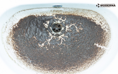 Borra de café desentope pia?