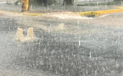 Chuvas causam mais entupimentos e proliferação de insetos!